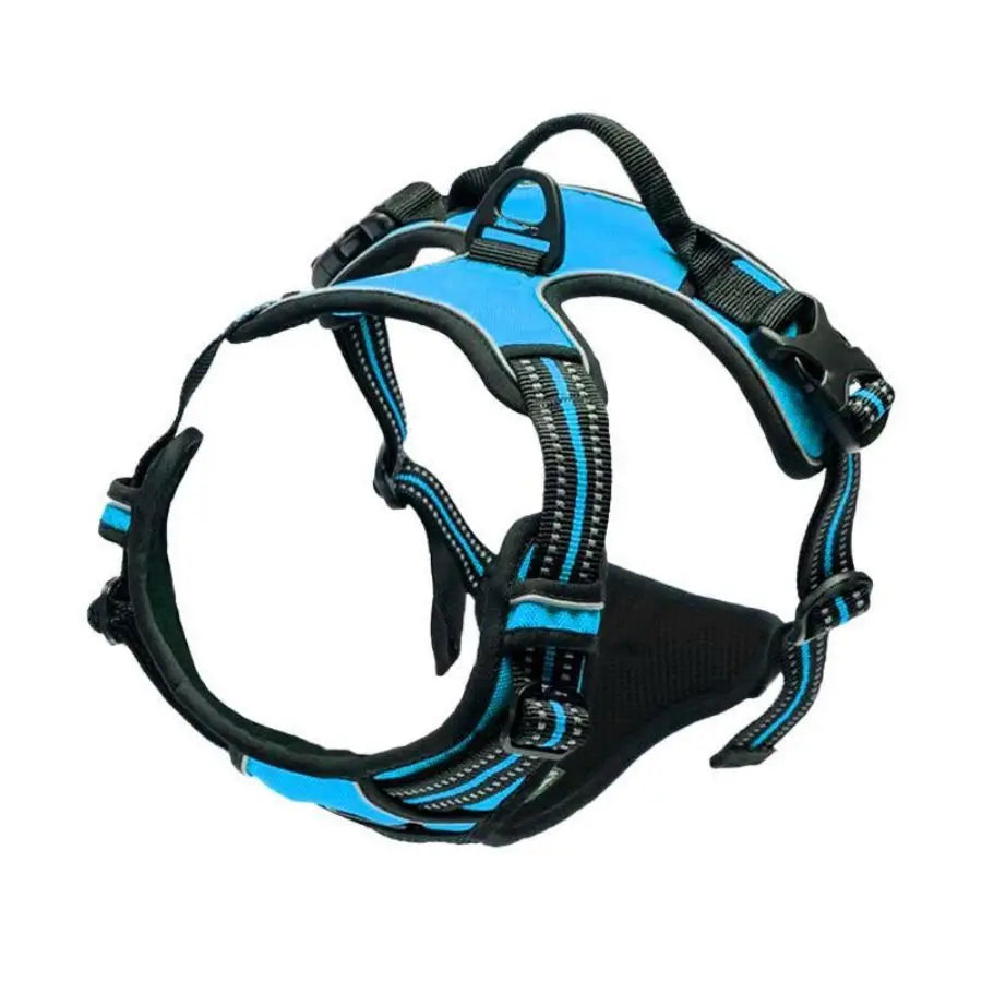 Blue and black dog harness with reflective stripes and secure buckles for comfortable walks