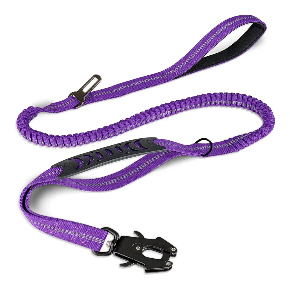 Purple dog leash with shock-absorbing bungee, reflective stitching, and secure metal clip for controlled walks