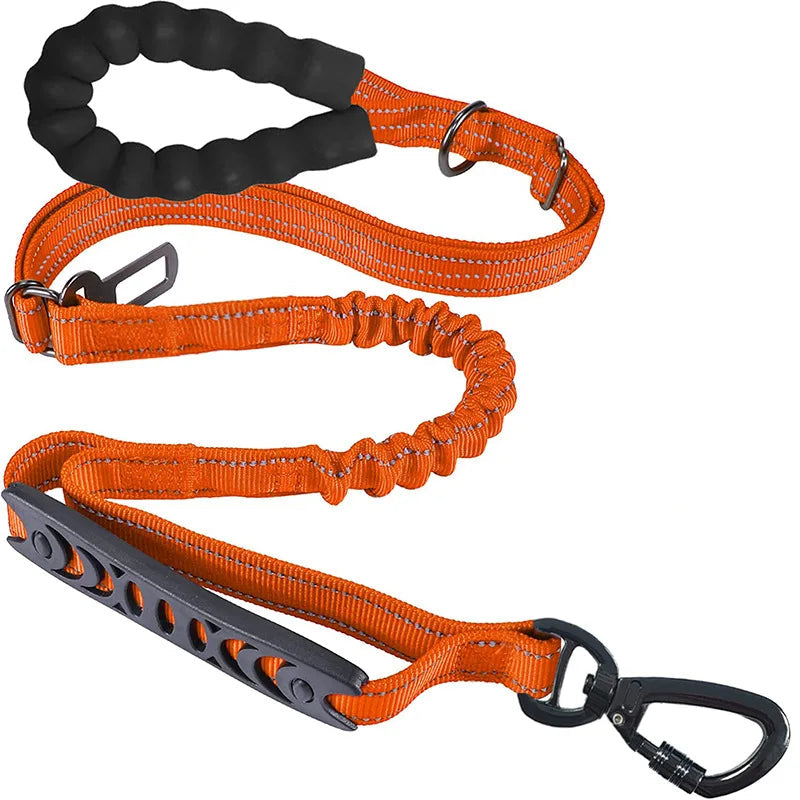 Orange dog leash with shock-absorbing bungee, padded handle, and reflective stitching for safe walks