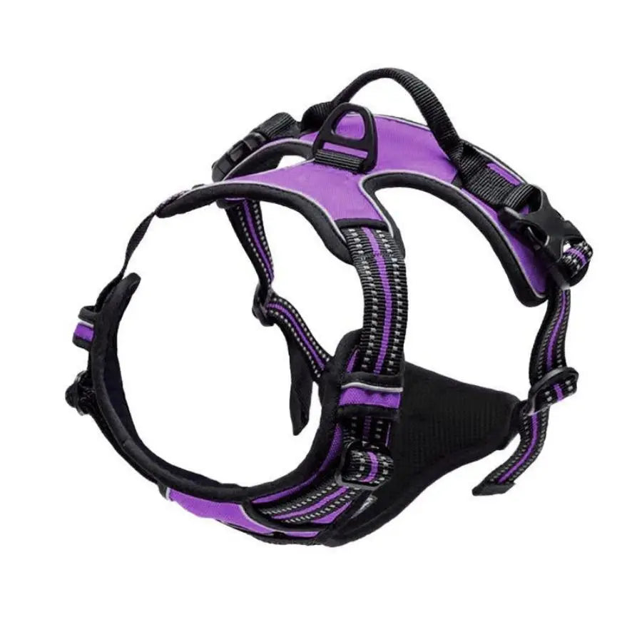 Purple and black dog harness with reflective stripes and secure buckles for comfortable walks