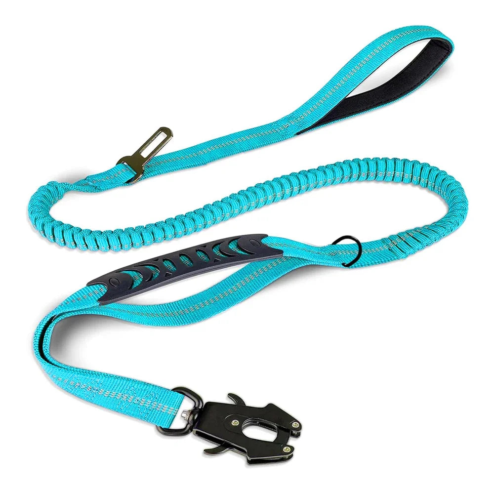 Turquoise dog leash with shock-absorbing bungee design, reflective stitching, and secure metal clip for safe walks