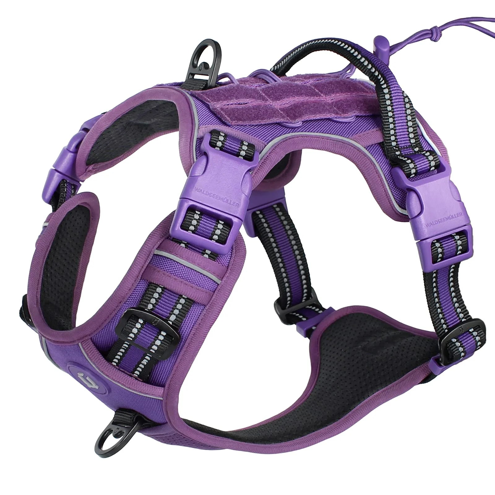 Purple dog harness with reflective strips, padded chest, and secure buckles for comfortable walks