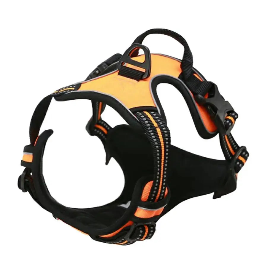 Orange and black dog harness with reflective strips and secure buckles for safe walks